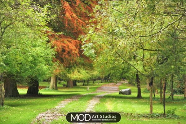 Irish Landscape Photography For Sale, Fota Wildlife Park, Cork