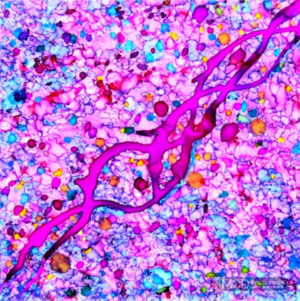 MOD ART - Friends - Ocean Ink Fine Art Prints Collection OIP056